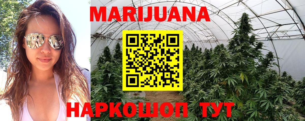Шишки марихуана планчик  Канабис тримм  Великий Устюг  Вход с VPN  Шишки марихуана MAZAR 